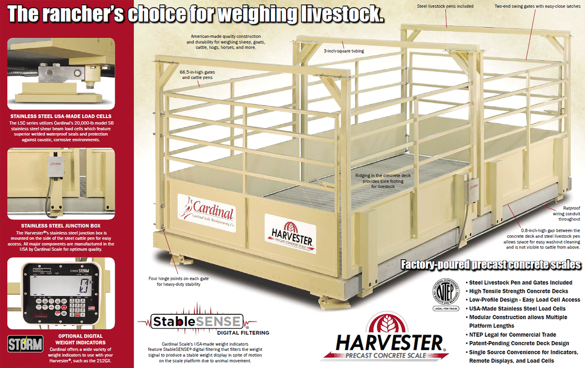 Animal rearing scales with IP stainless steel indicator