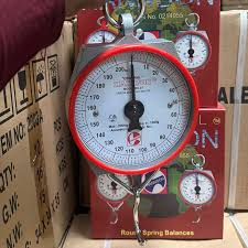 Salter Hanging Weighing Scale