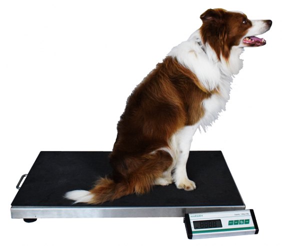 portable animal weighing scale with anti-slip rubber pads