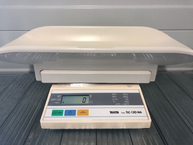 weighing newborns to toddlers.