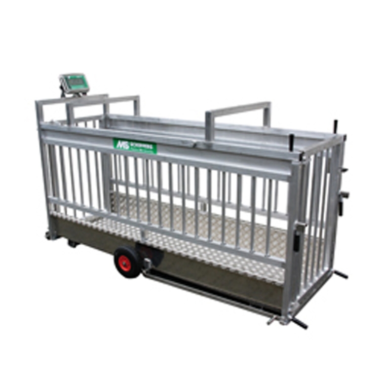 Livestock Animal Cow Weighing Scale