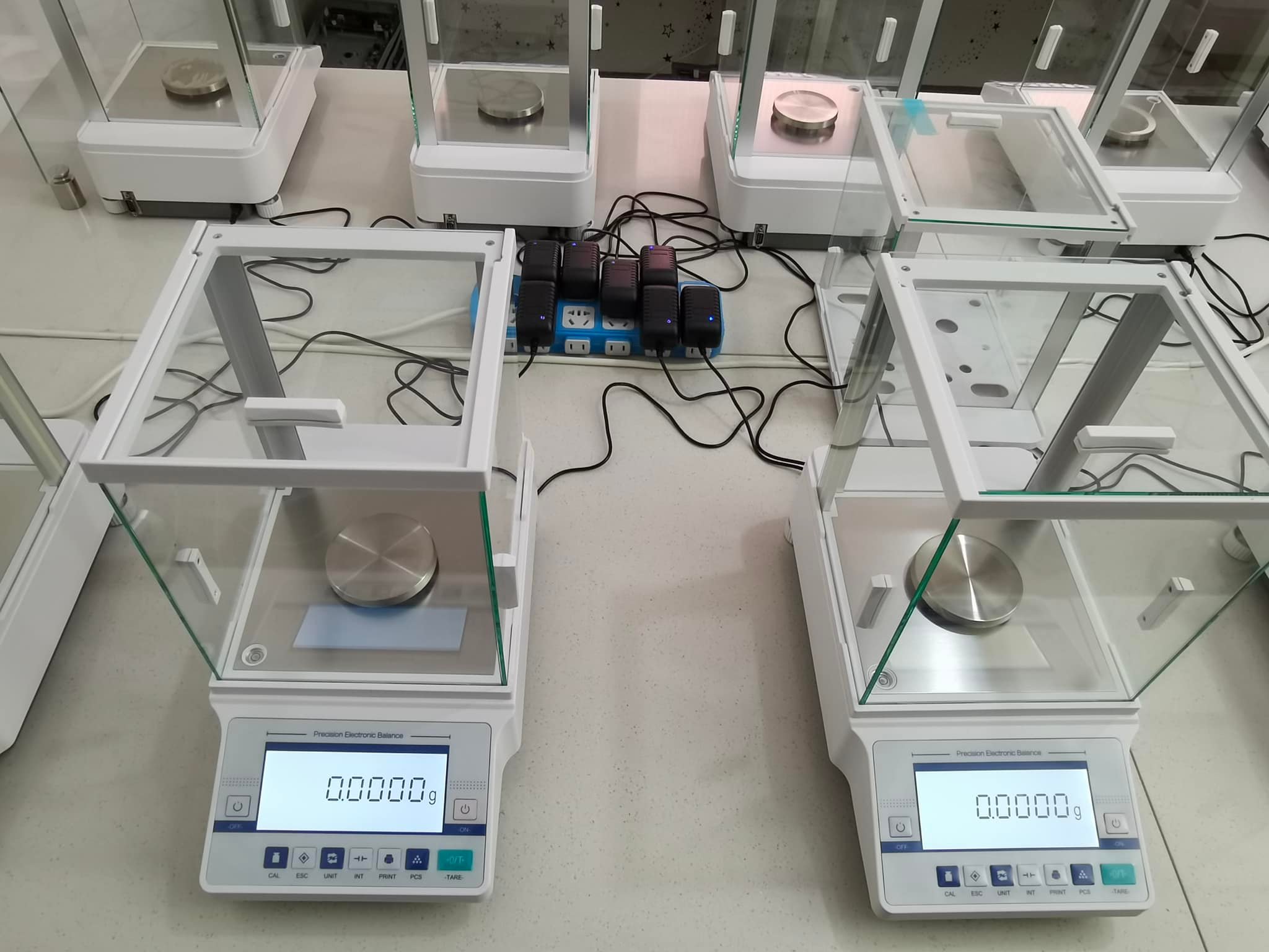 Precision Milligram Balance