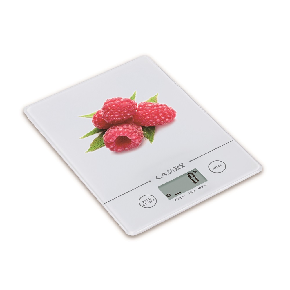 Portable Stainless Steel Smart Scale