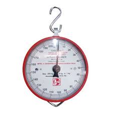 Dial Reader Crane Weighing Scale