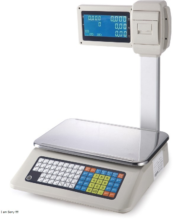 Portable electronic price scale