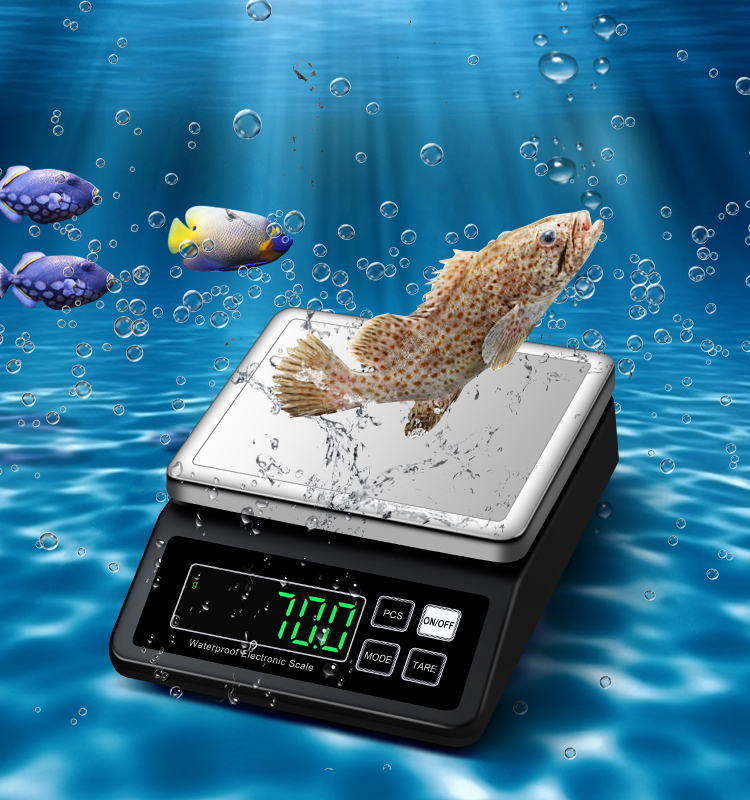 Electronic IP68 Waterproof Weight Scale