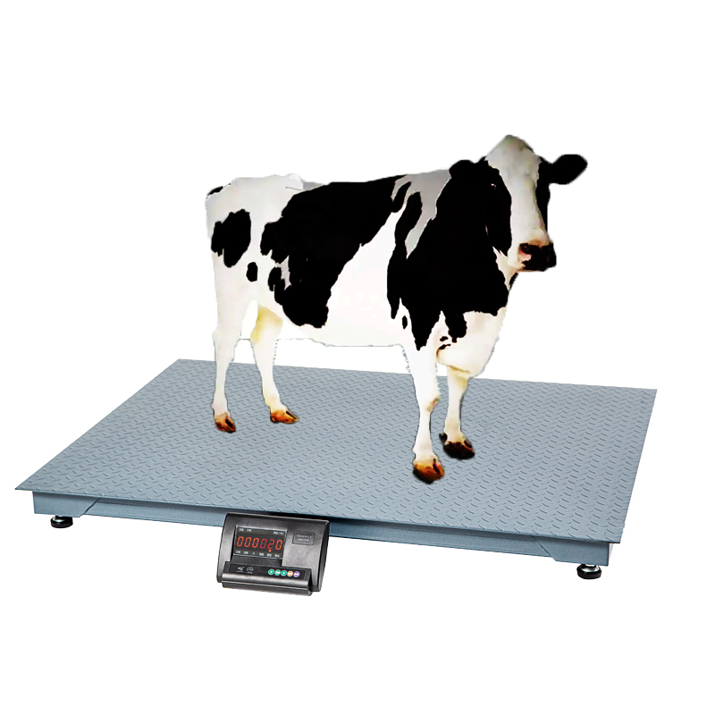 Digital Large Livestock Weighing Scale (500 kg)