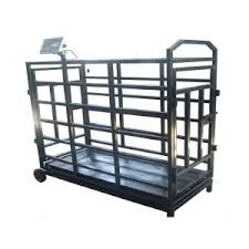 Durable animal scale weighing cattle