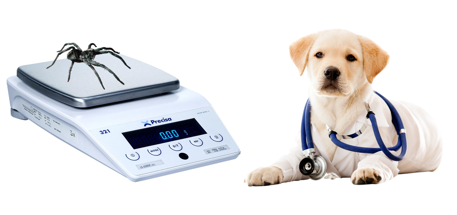 dogs' weighing scale with optional USB data