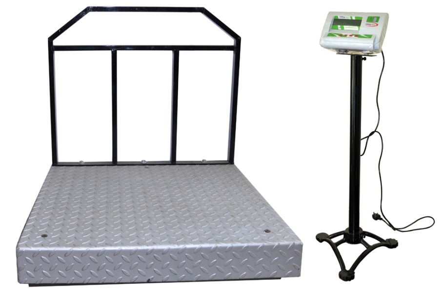 Floor Mounted Digital Platform Scales