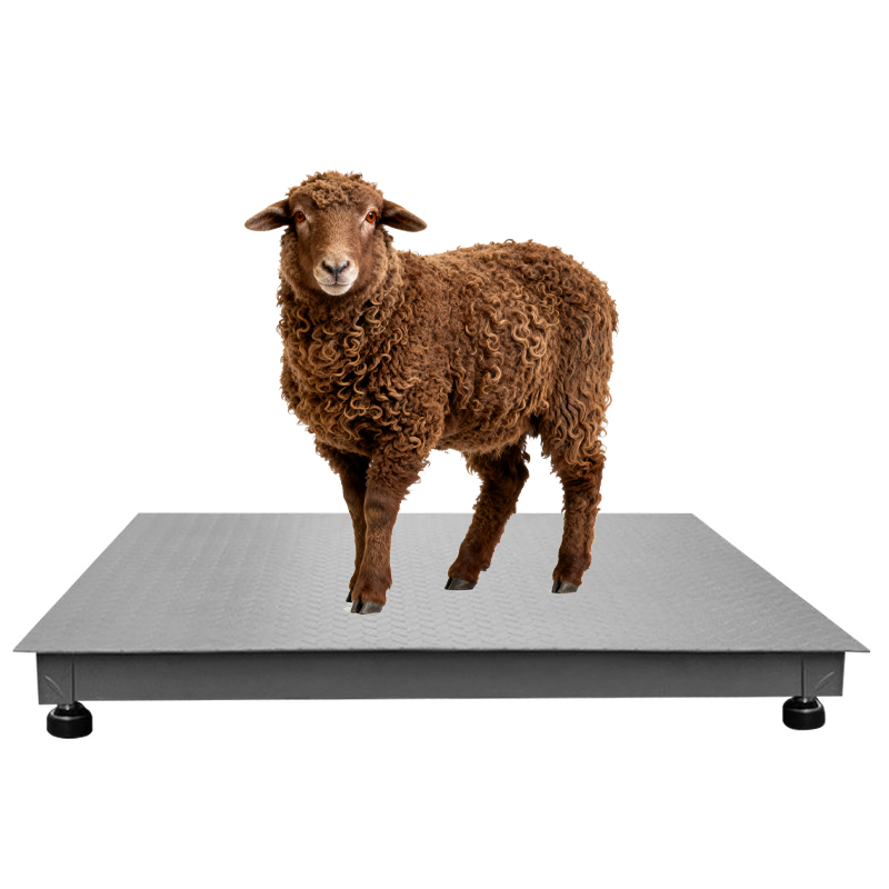 Livestock Animal Cow Weighing Scale