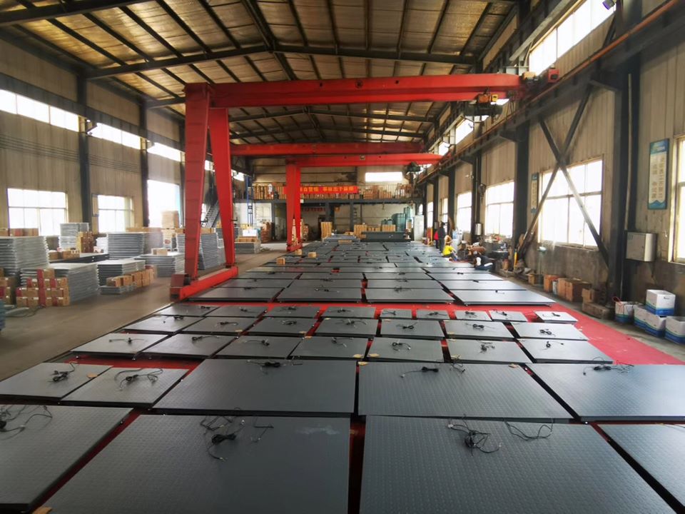 Perfect Digital Bench Scale for Sale at Best Prices