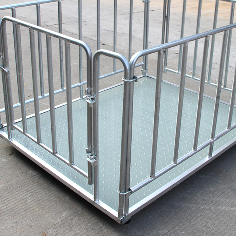 Large Animal Weighing Scale – Heavy Duty Livestock Platform in Nakapiripirit-district-east.