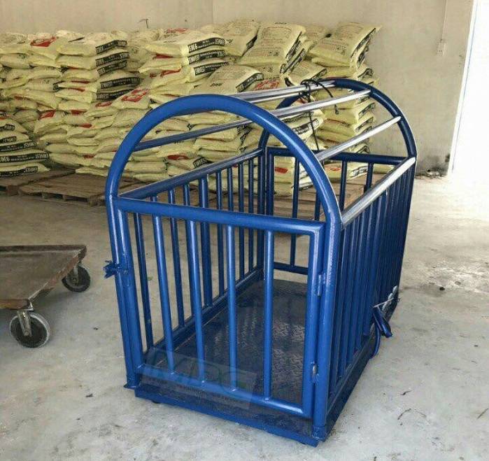 High accuracy cattle weighing scale with 4 load cells