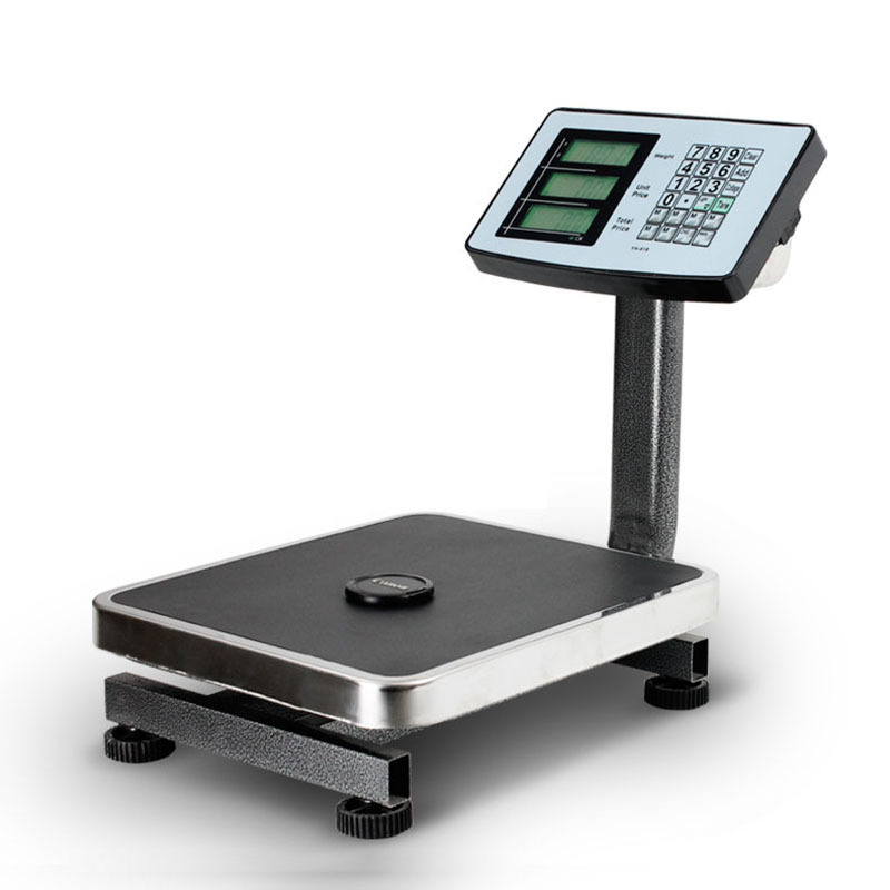 Portable Platform Scale
