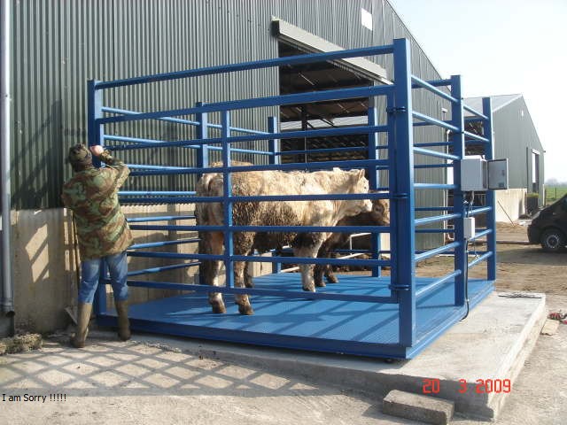 Alloy steel shear beam load cells animal weighing scale