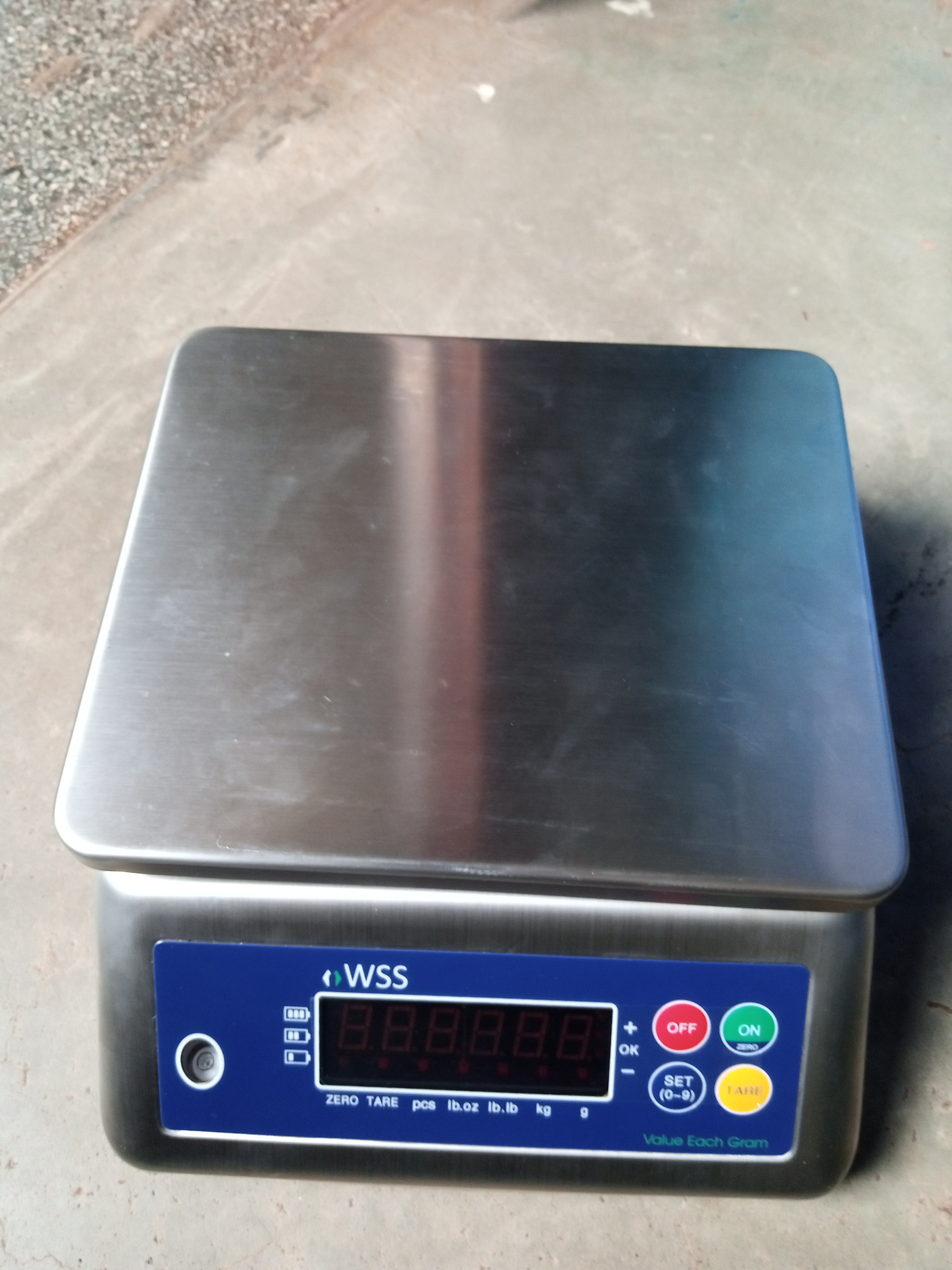 What Are Waterproof Scales and Why Do They Matter?