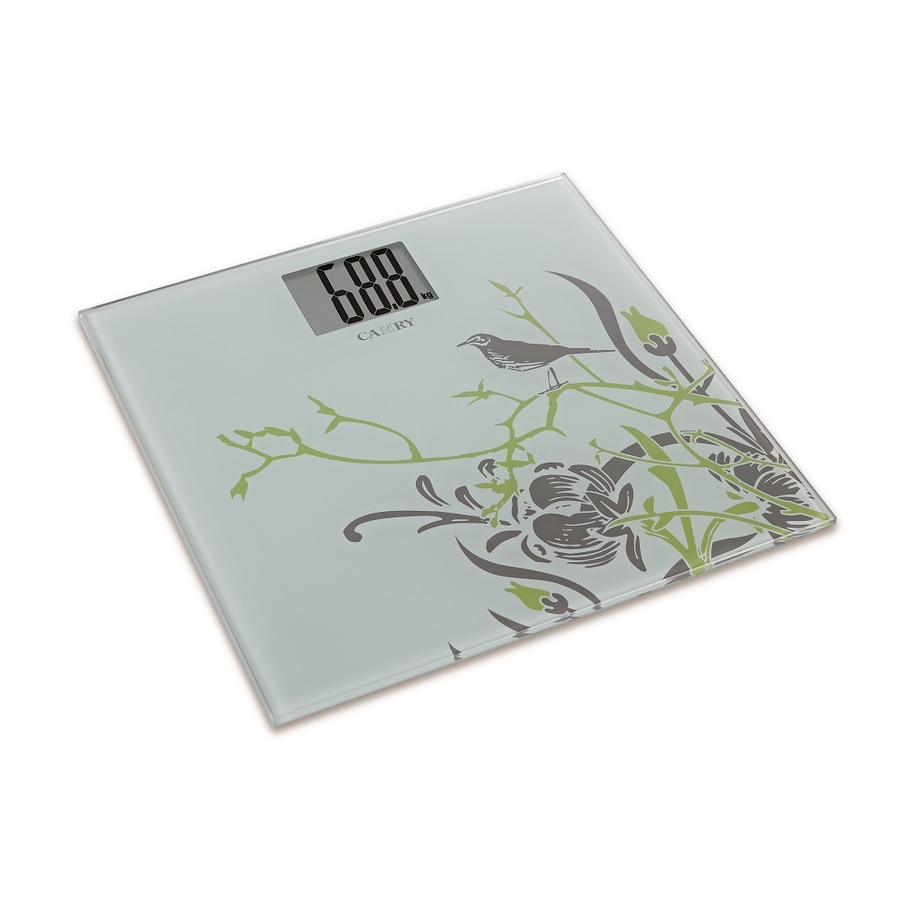 Understanding the Different Types of Bathroom Scales