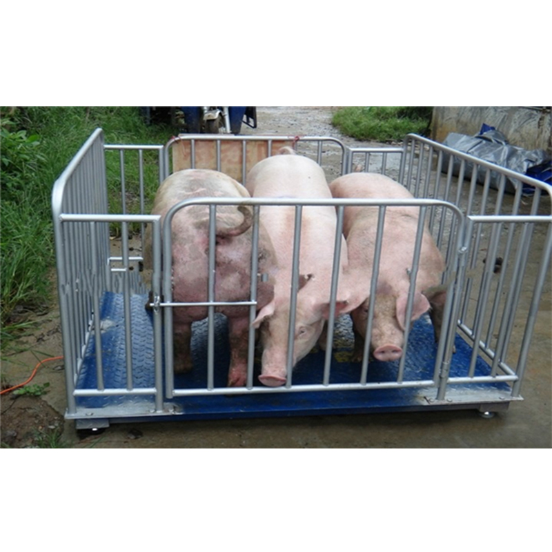 Heavy Duty Industrial Weighing Floor Scale for Livestock