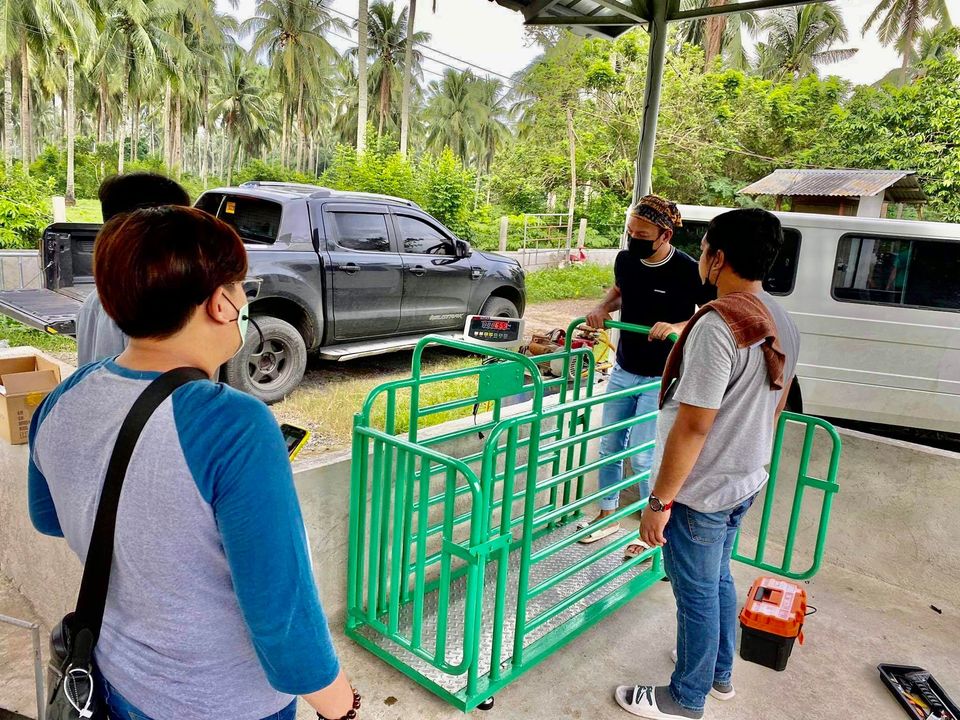 Pig, Cattle, and Sheep Farm Weighing Electronic Scale
