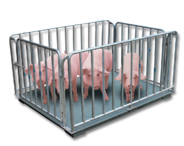 500kg / 800kg A12 Electronic Digital Animal Platform Scale