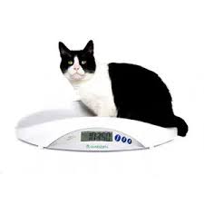 Sensor Type Animal Platform Veterinary Scale