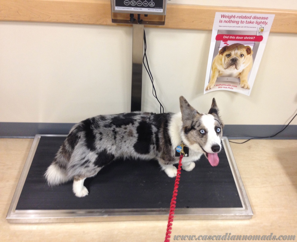 Top Recommended Professional Models