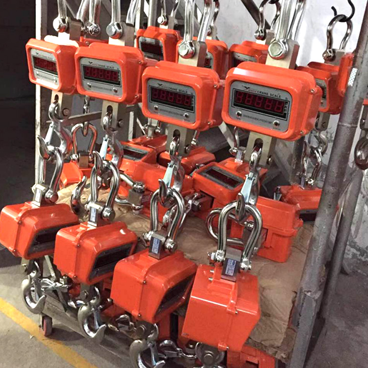 Hanging Crane Weighing Scale