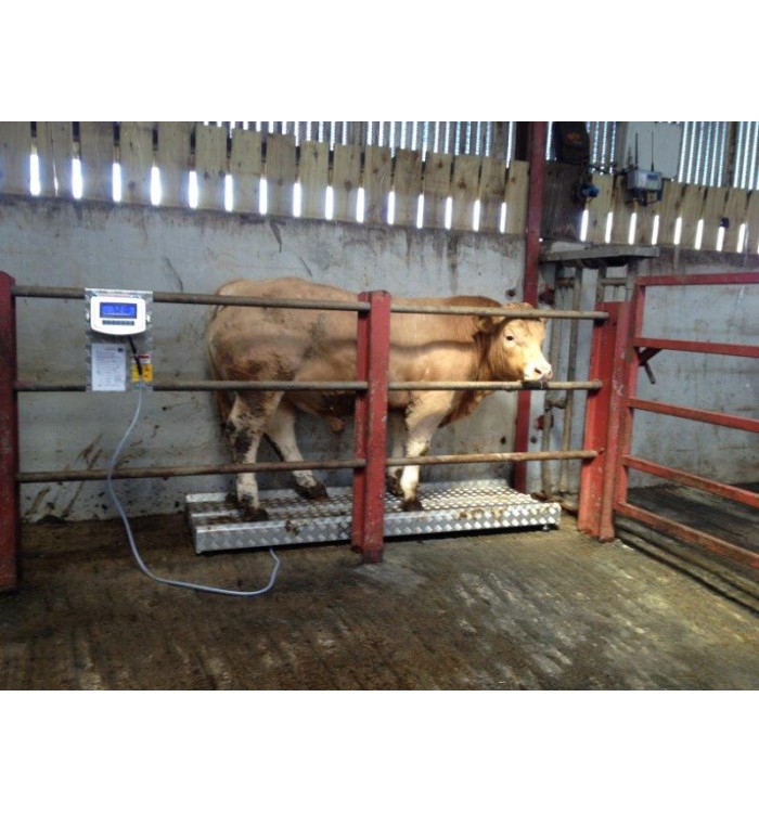 Recommended Horse & Sheep Floor Scales