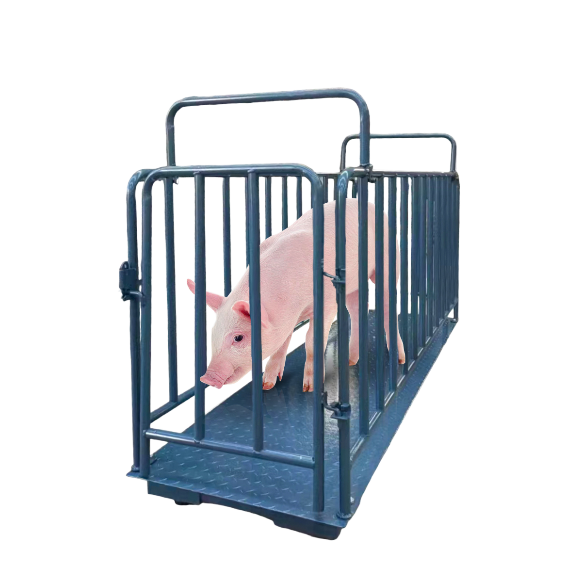 Classic Design Animal Husbandry Small Platform Scale