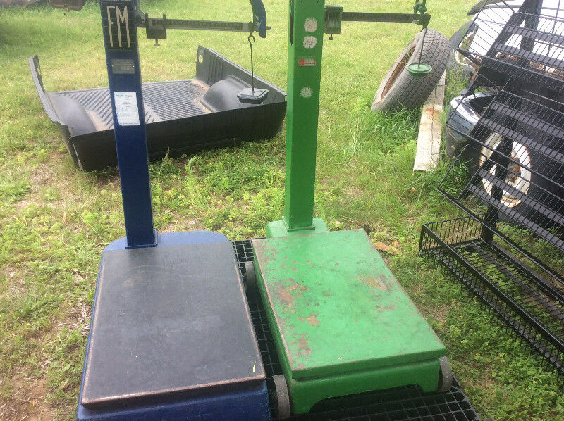 100 Kg Mechanical Platform Scale – Mild Steel,