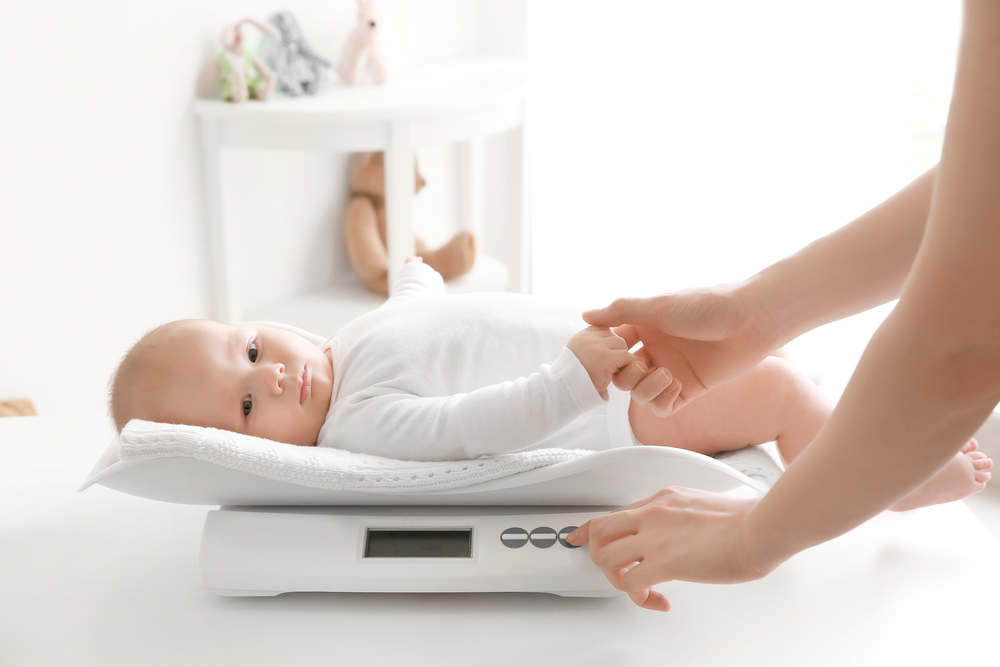 Popular baby weighing scale