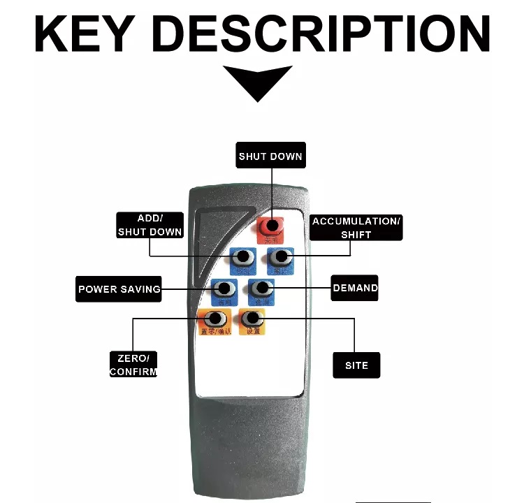 500 kg Customized Crane Hanging Weighing Scale