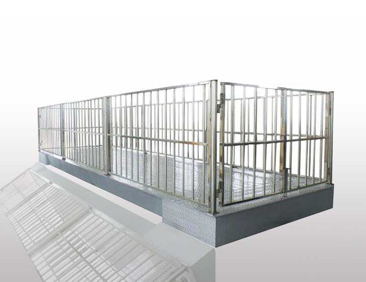 Electronic Floor Balance Industrial Floor Scale