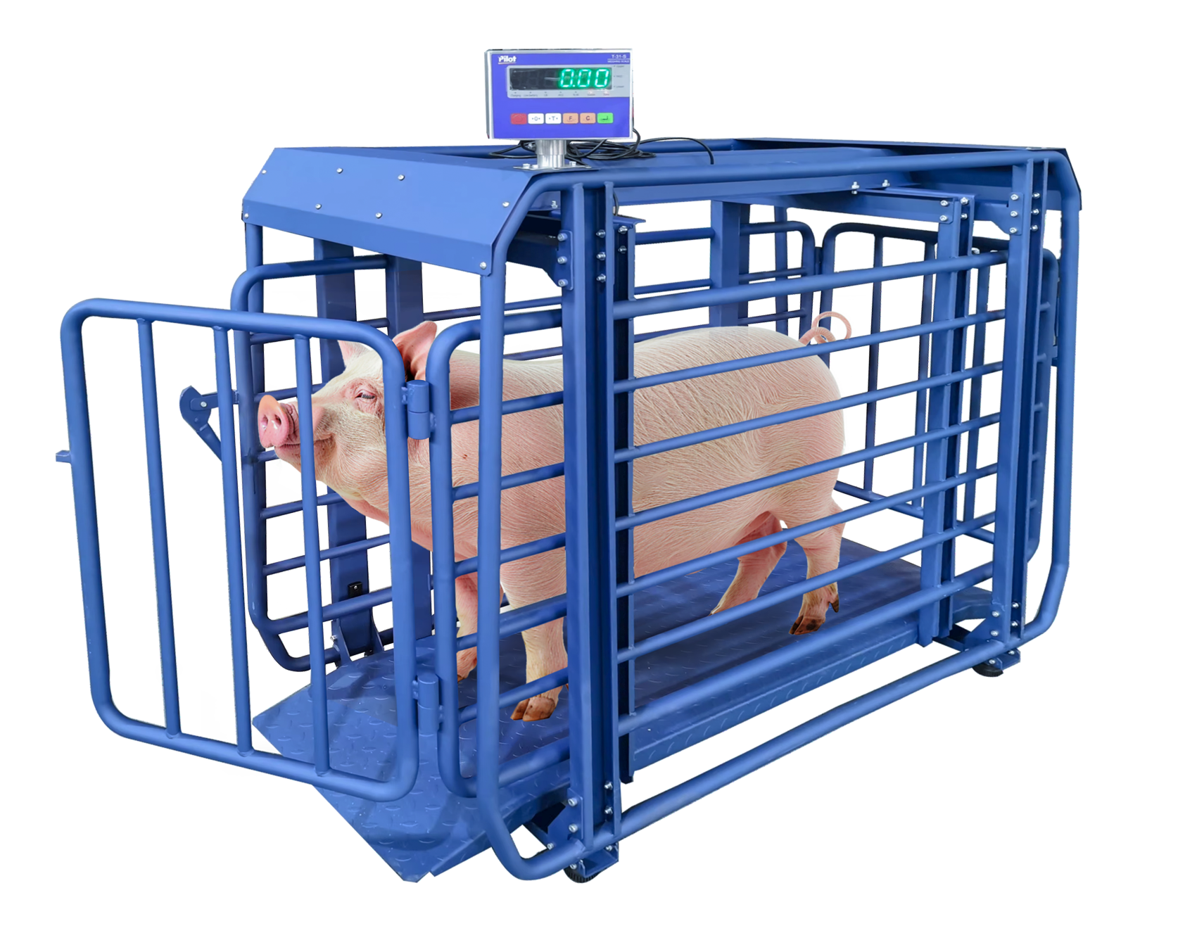Digital Animal Scale for Livestock Weighing