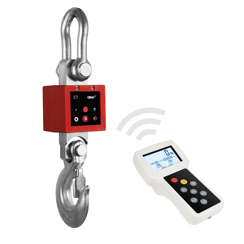 Hook Hanging Weight Digital Scale in  ug