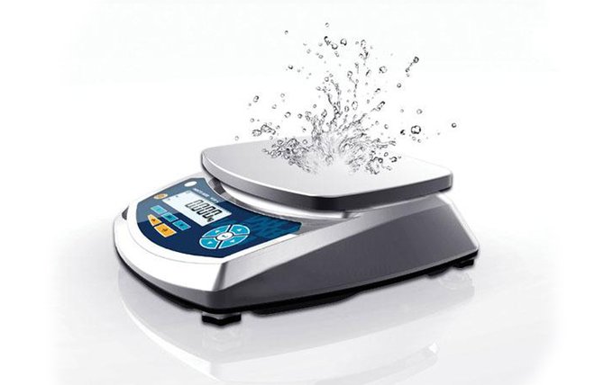 Counter Weighing Scales With Oval Plate