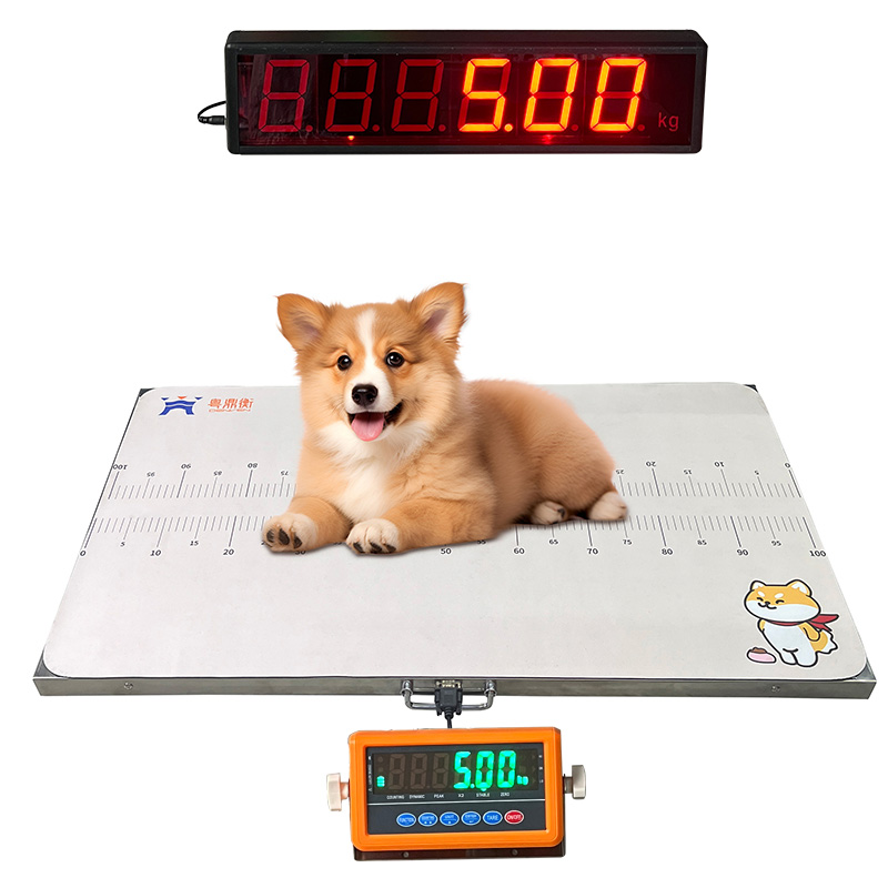 Digital Livestock Weight Scale with Cattle Cage