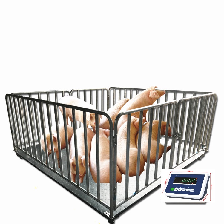 Goats, Horse, and Equine Veterinary Scales (Also Suitable for Pig Weight)