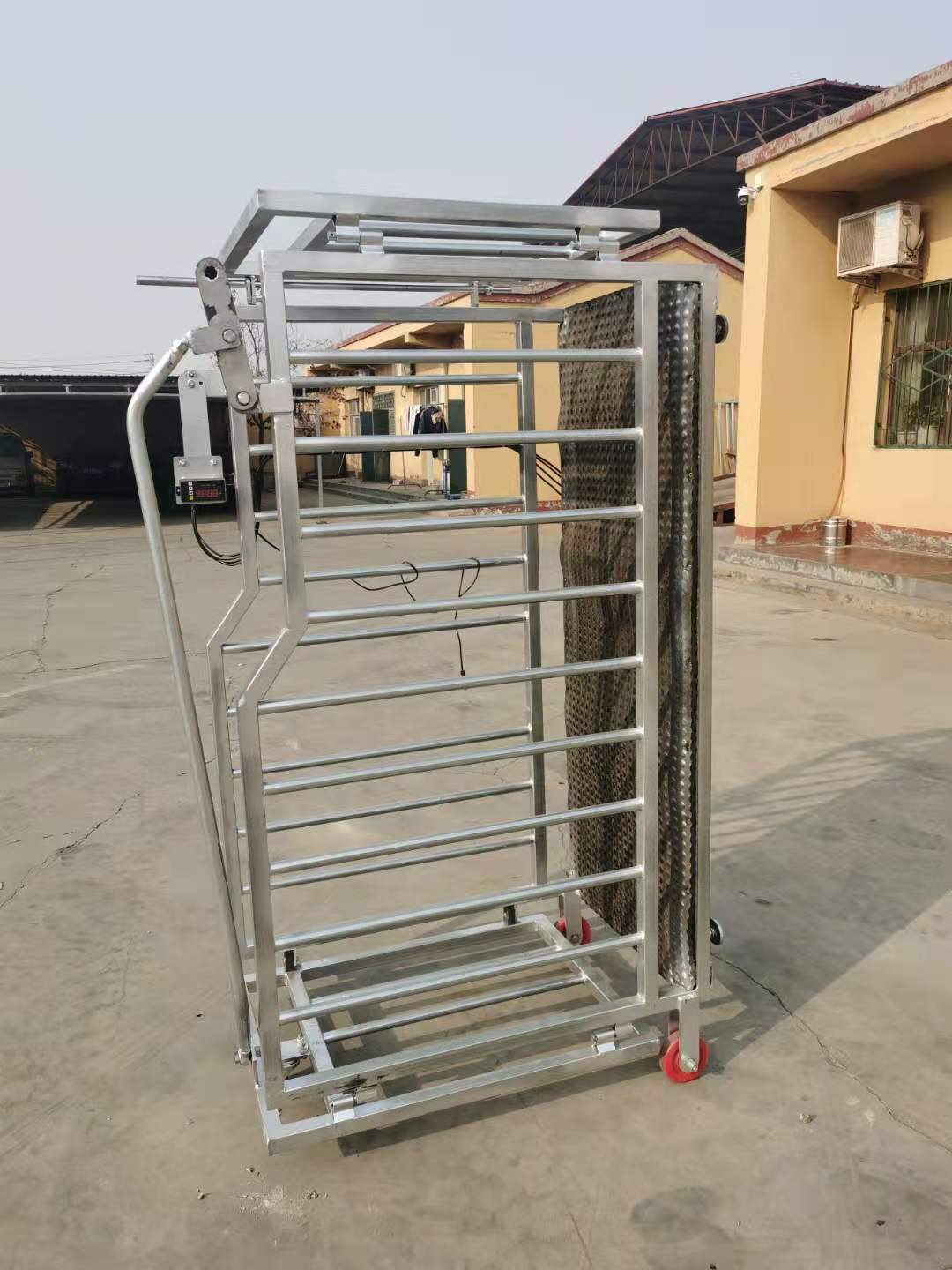 Pet Clinic Veterinary Treatment Table with Electric Weighing for Dogs