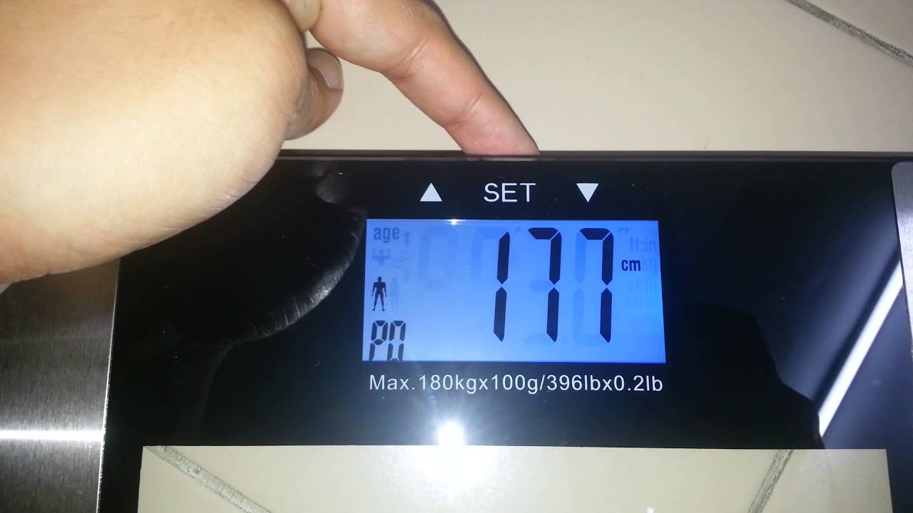 Excellent Table Top Weighing Scale for fisheries