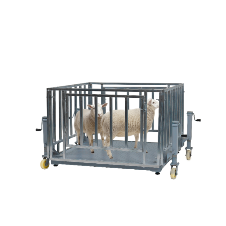 Electronic Floor Balance Industrial Floor Scale