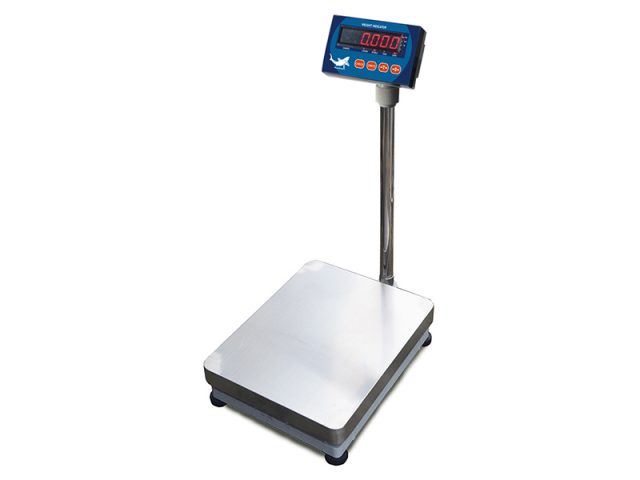 Platform Scale with A12E Indicator