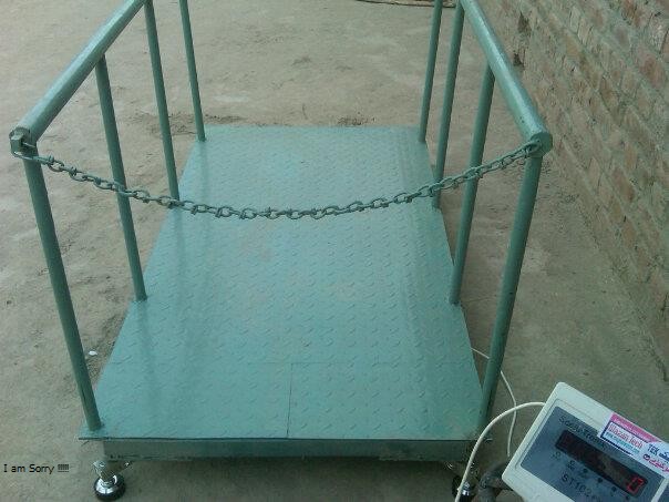 animal weighing scale easy to connect spring cable