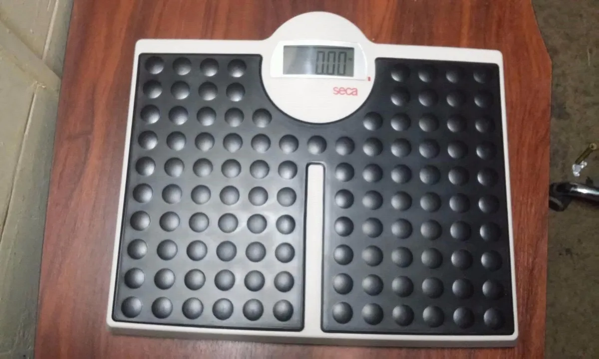best mechanical bathroom weighing scales at affordable prices