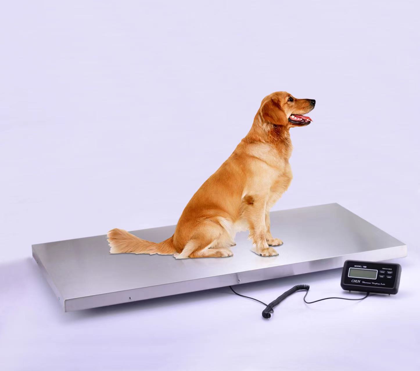 Excellent Heavy Duty Digital Veterinary Scale