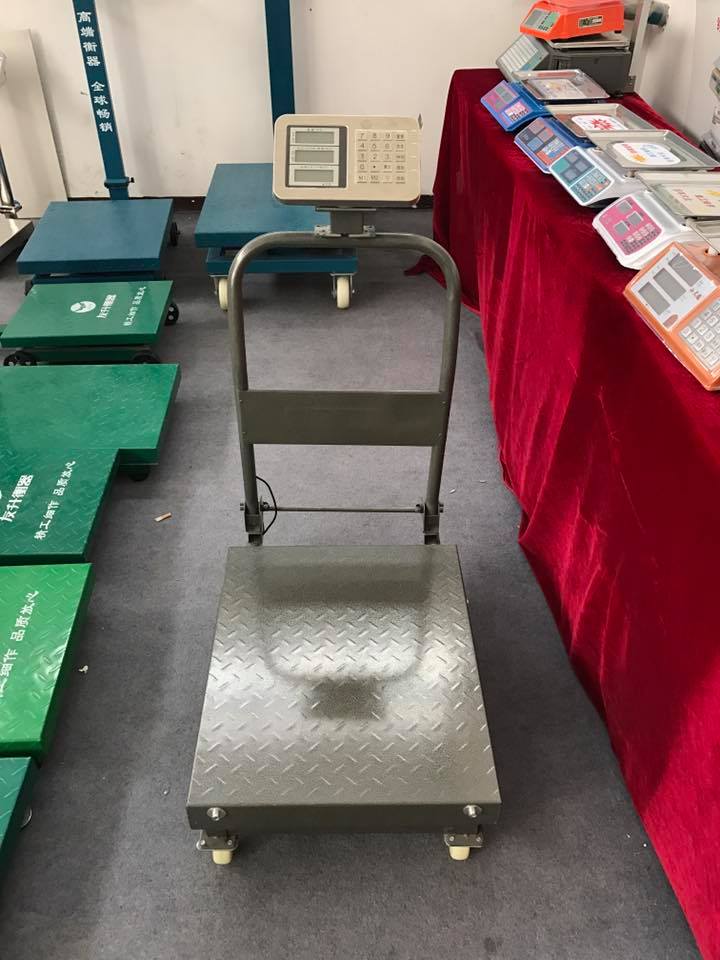 Understanding Platform Scales: Accuracy, Capacity, and Features for 100–500 kg Loads