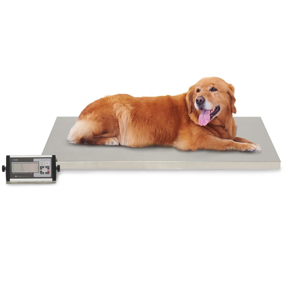 Animal Weighing Scales for Veterinary Hospital