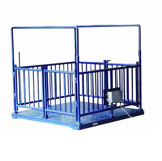 Best Cheap Most Accurate Electronic Veterinary Scale