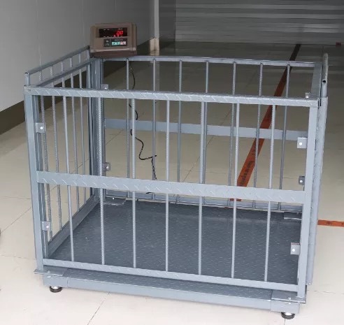 Livestock Weighing Scales Special for Goats & Sheep